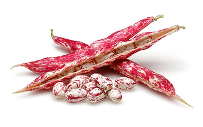 Fagioli borlotti